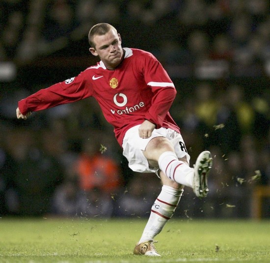 红土还是草 红土还是草